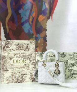 túi xách dior lady siêu cấp