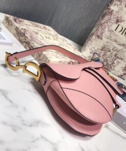 túi xách dior saddle