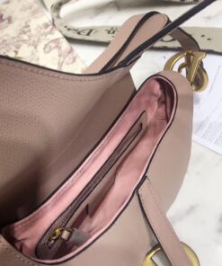túi xách dior saddle