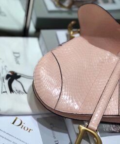 Túi xách Dior hàng hiệu – TXSC0371