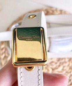 Túi xách DIOR siêu cấp – TXSC0561