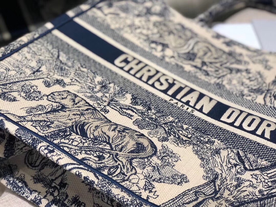 túi xách dior siêu cấp