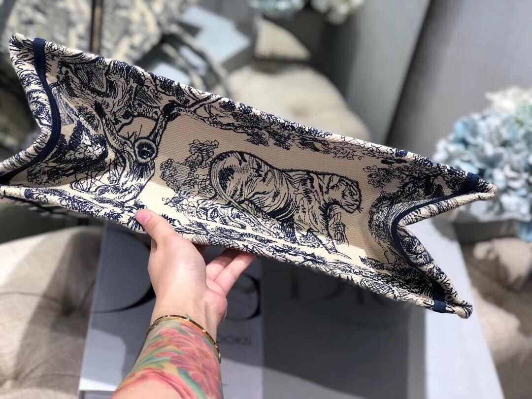túi xách dior siêu cấp