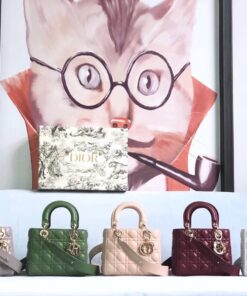 Túi xách Dior siêu cấp – TXSC0390