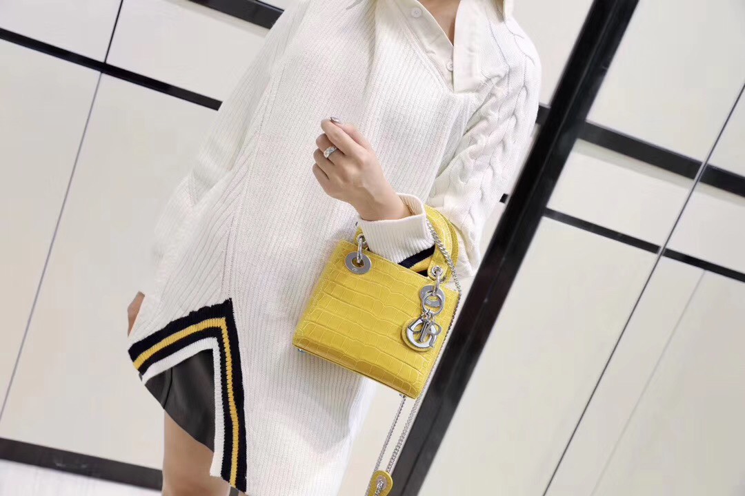 Túi xách siêu cấp – TXSC0630 Túi xách DIOR siêu cấp – TXSC0630
