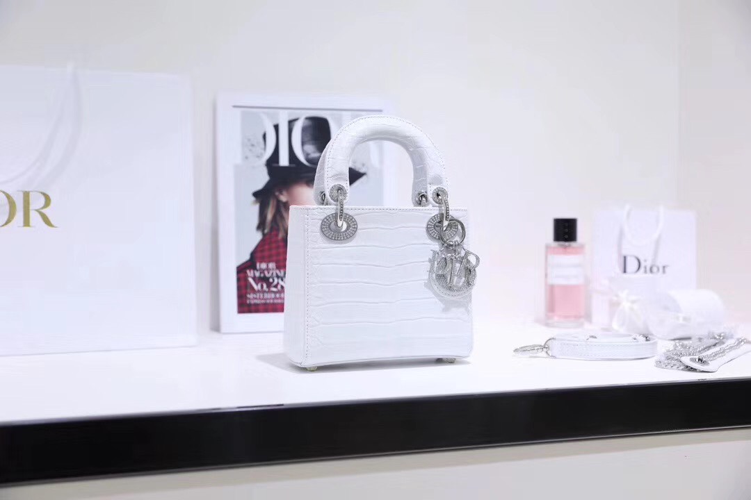 Túi xách siêu cấp – TXSC0629 Túi xách DIOR siêu cấp – TXSC0629
