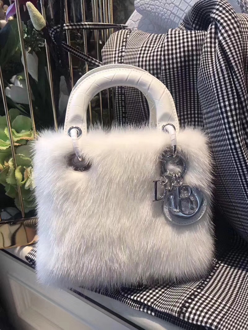Túi xách siêu cấp –TXSC0746 Túi xách DIOR hàng hiệu –TXSC0746