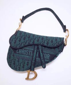 Túi xách DIOR siêu cấp –TXSC0765