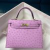 Túi Hermes Kelly 25 màu cam và da đà điểu Nata, khóa vàng, mã B