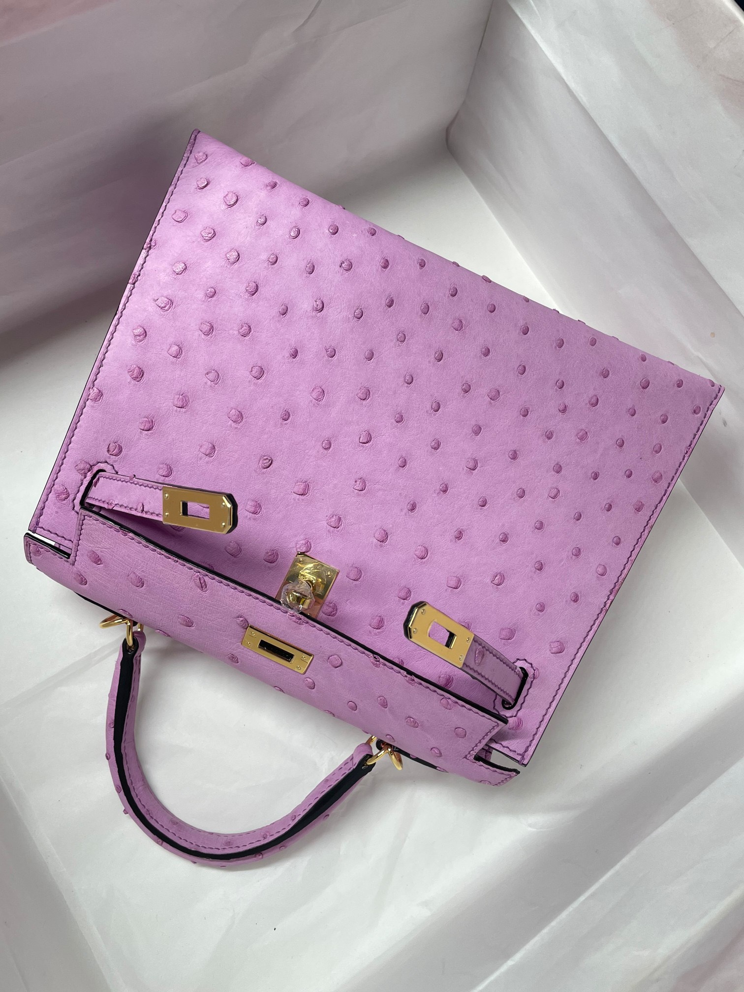 z2531770576166_8e30c6ecf1f4bbd0f74bb102b896494b Túi Xách Hermes Kelly 25 Da Đà Điểu Màu Tím