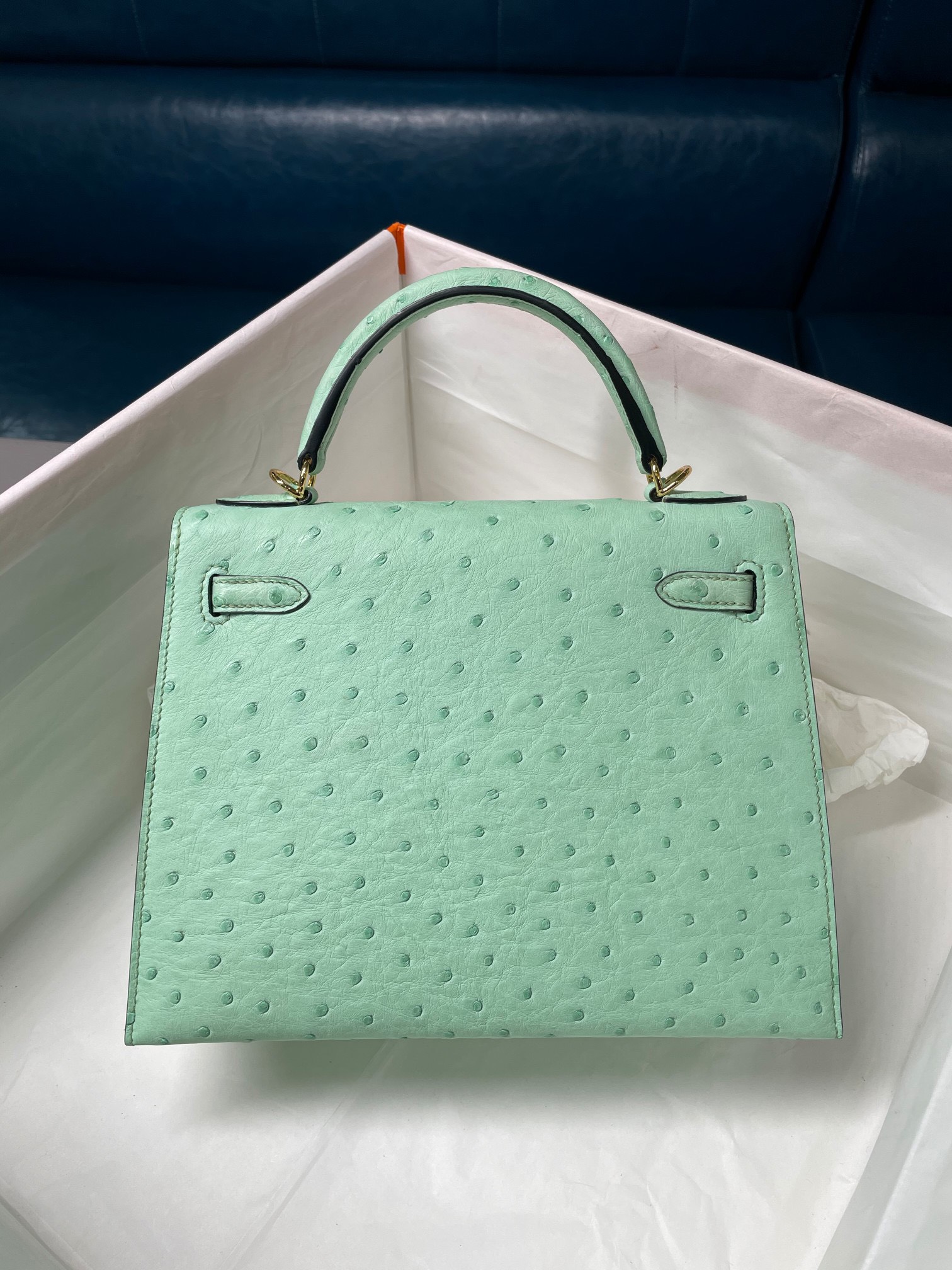 z2531771168133_b94d8f0cb1cf14ad87330f84c7287a80 Túi Xách Hermes Kelly 25 Da Đà Điểu Màu Xanh Lá Cây Nhạt