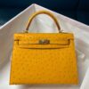 Túi Hermes Kelly 25 màu cam và da đà điểu Nata, khóa vàng, mã B