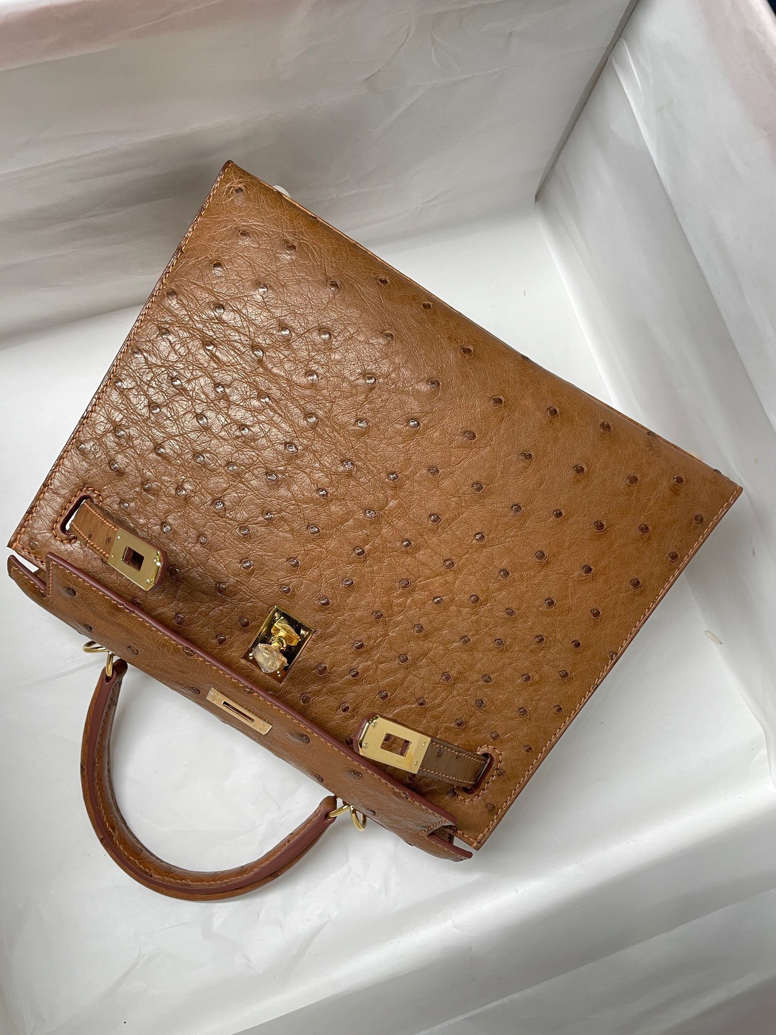 z2531773254099_600de3dffc2a8cdd3c0da3d5e3b4d6eb Túi Xách Hermes Kelly 25 Da Đà Điểu Màu Nâu