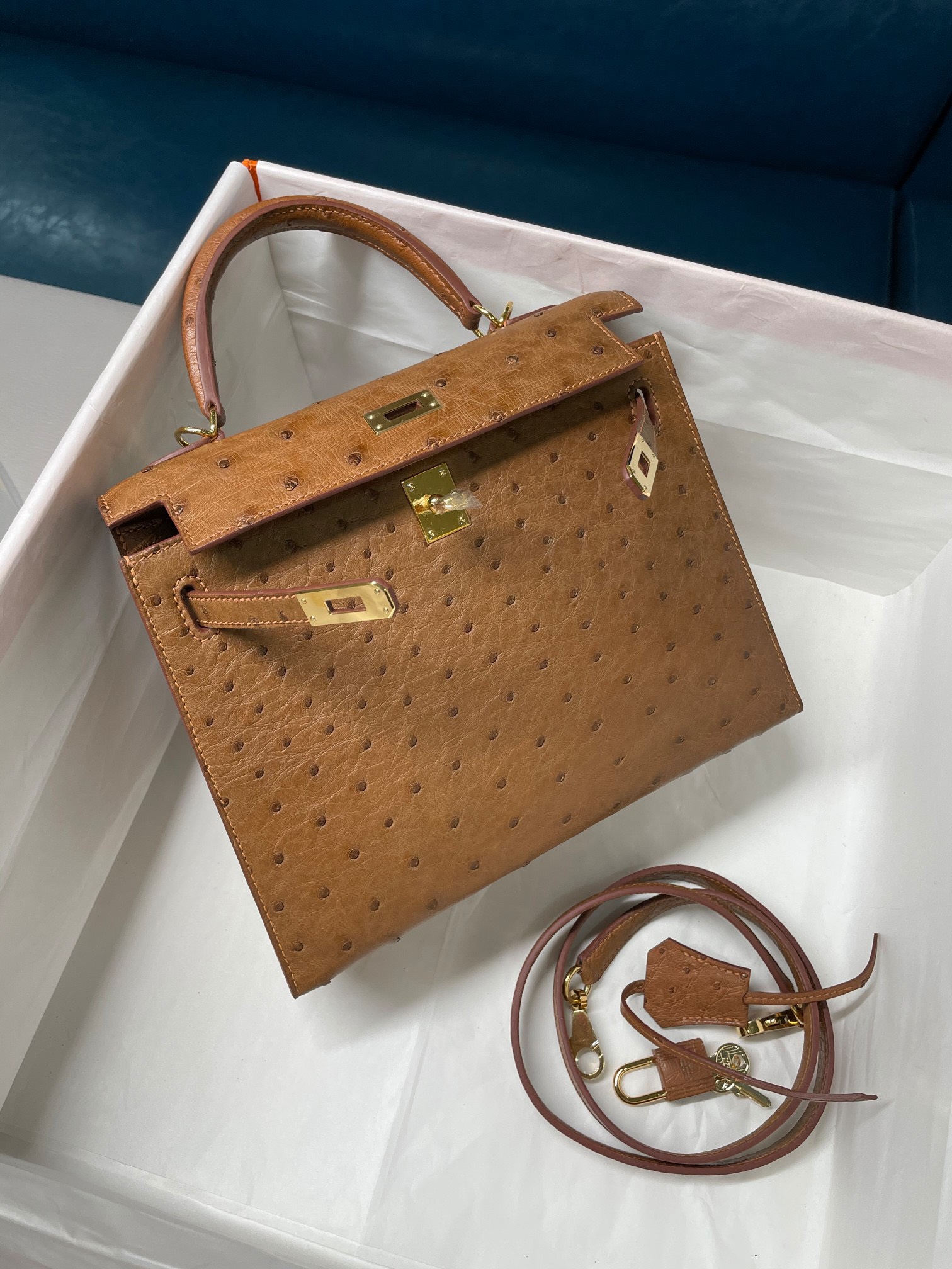 z2531773257492_a3b9710ed81f1aefc1870d0f3510599a Túi Xách Hermes Kelly 25 Da Đà Điểu Màu Nâu