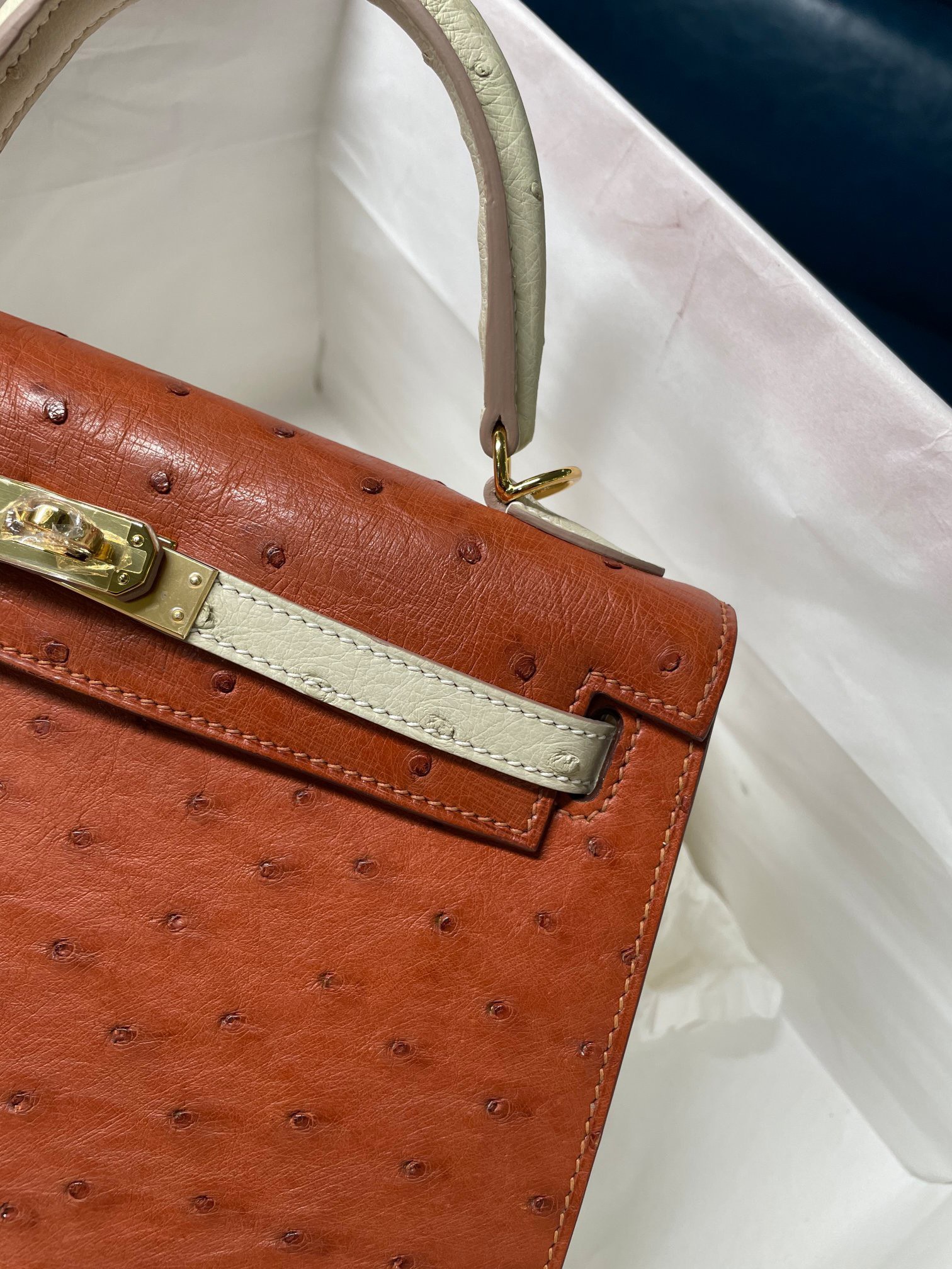 z2531773853650_9111ea7db0acb399272006fe626ead20 Túi Hermes Kelly 25 màu cam và da đà điểu Nata, khóa vàng, mã B