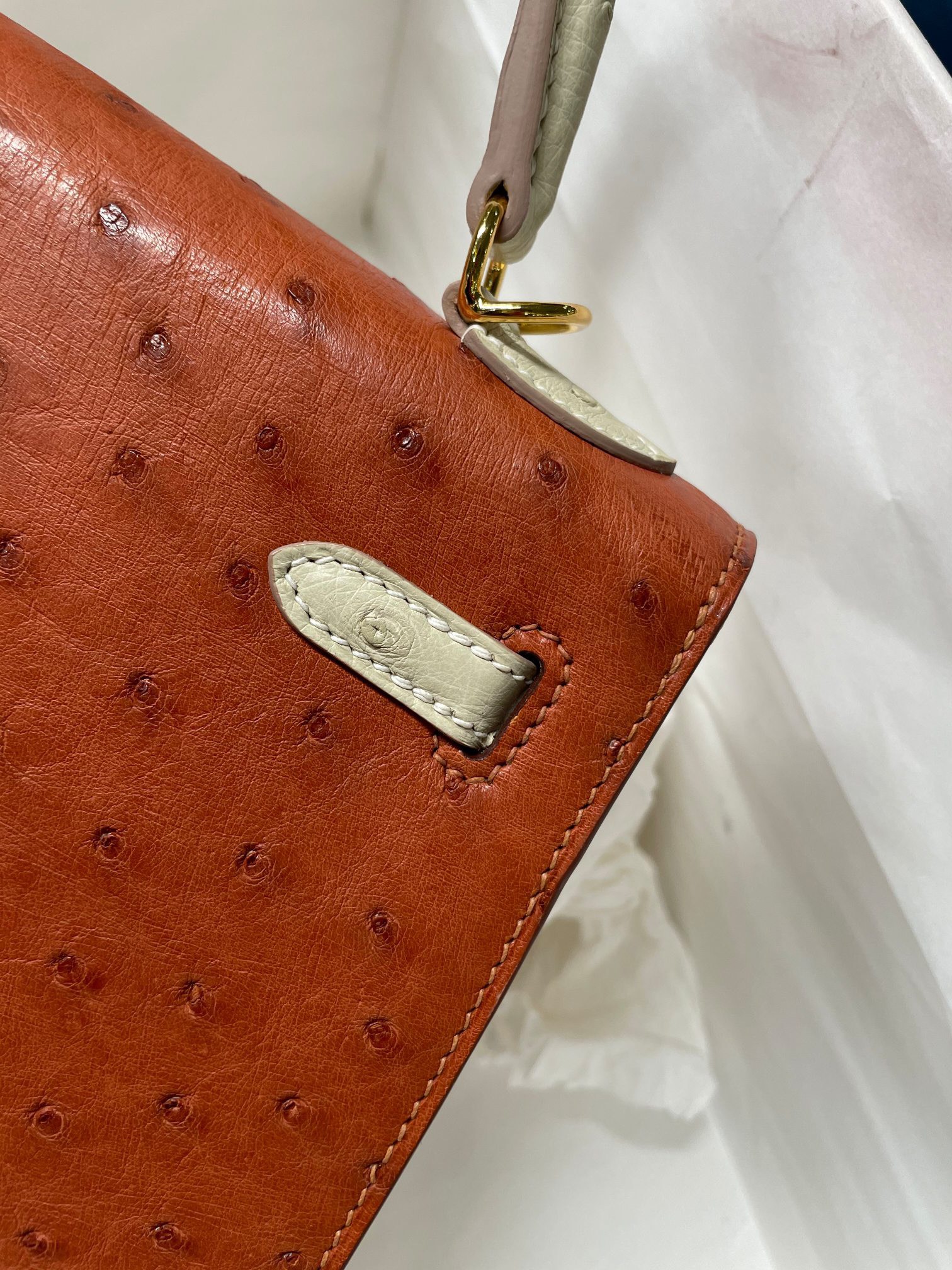 z2531773862696_a7e003a66d835f6b8723ea0ef250262b Túi Hermes Kelly 25 màu cam và da đà điểu Nata, khóa vàng, mã B