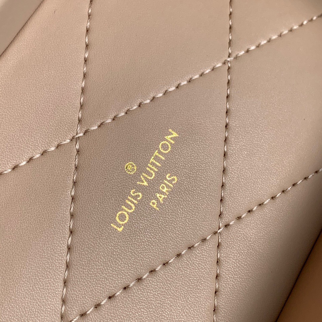 z3373670935411_b3c24f0a21e9ad0707b2932f7d3675a1 Túi Louis Vuitton Dạng Hộp Camera Box Màu Nâu