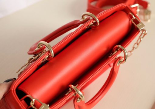 Túi xách nữ Dior siêu cấp –TXSC1561