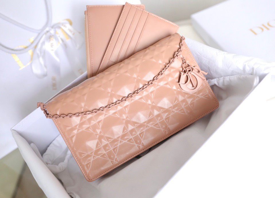 z3443393520481_62f3bd4261c5205e1096ade62dc9d126 Túi Dior Lady Dior Pouch ‘Rose’