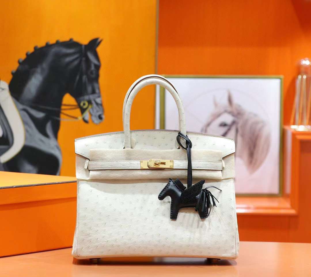 Túi xách Hermes Birkin 25 Ostrich Nata Màu Trắng Siêu cấp Túi xách Hermes Birkin 25 Ostrich Nata Màu Trắng Siêu cấp