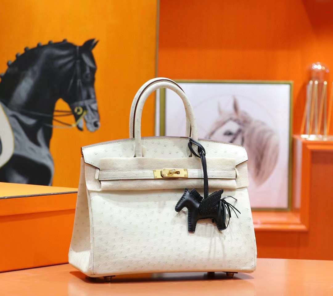 z3908563150648_5ddcc93783a10dc6c1402e06529e9beb Túi xách Hermes Birkin 25 Ostrich Nata Màu Trắng