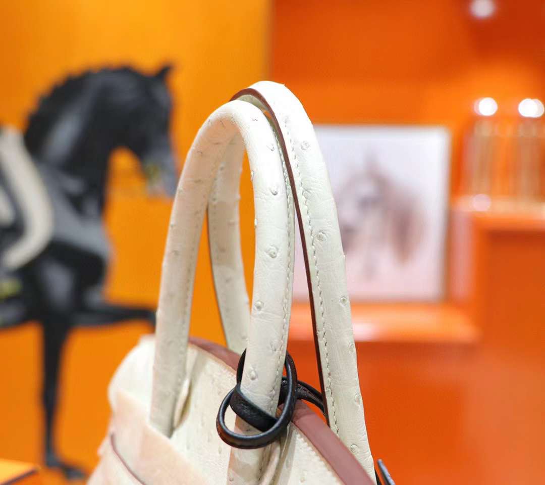 z3908563157032_8790aa92562aaf465b090e9c5c3f7993 Túi xách Hermes Birkin 25 Ostrich Nata Màu Trắng