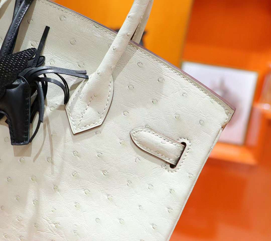 z3908563168832_103179c7cb55868f6a30e21a5dfe052a Túi xách Hermes Birkin 25 Ostrich Nata Màu Trắng