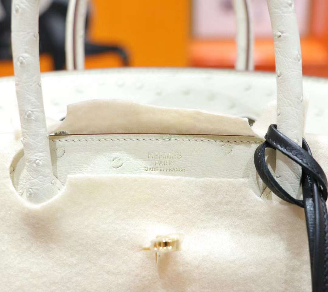 z3908563175348_075917aa61c9484a2f4d348c74c1806b Túi xách Hermes Birkin 25 Ostrich Nata Màu Trắng