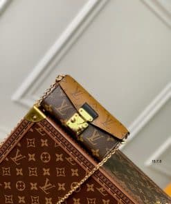 Túi xách Louis Vuitton Monogram Bitsy Pouch màu nâu
