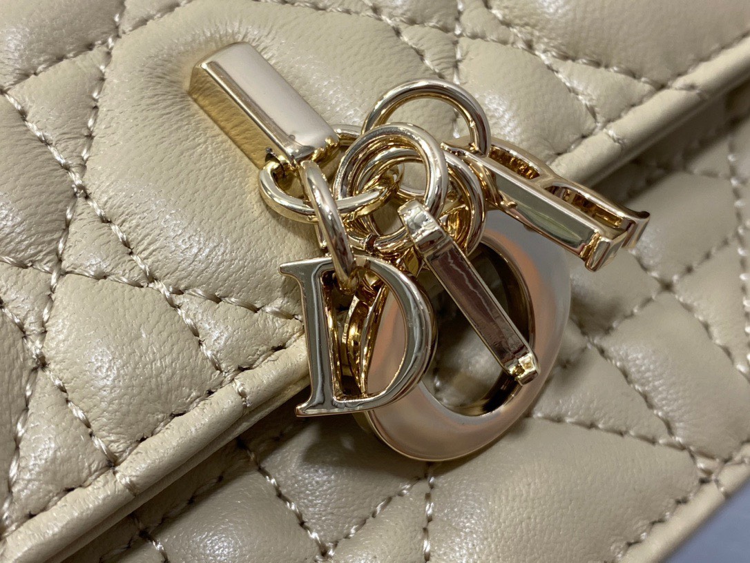 z4831456762589_a4f389bb123dcfeeccda1d154bf281a0 Túi Xách Dior Mini Bag Powder Beige Cannage Lambskin Màu Be