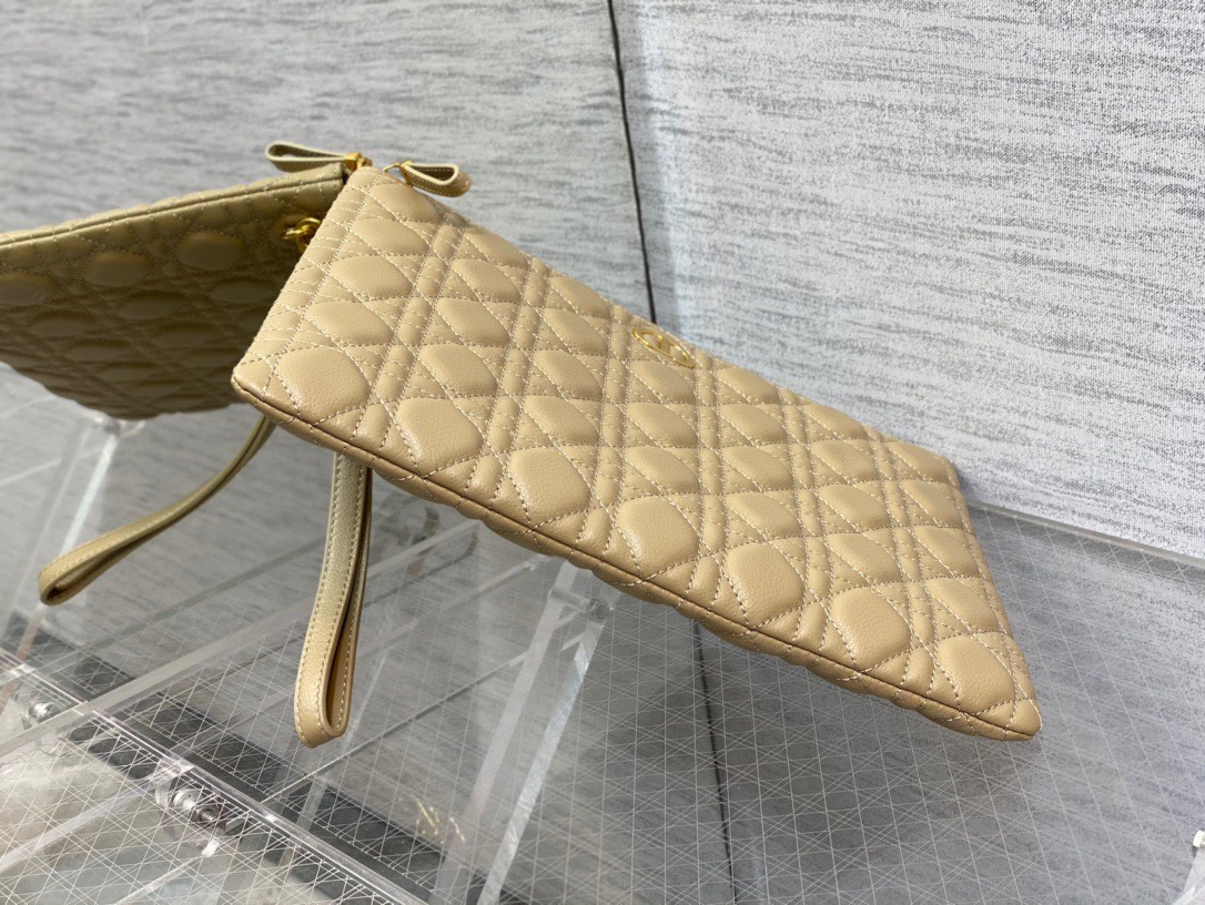 z5110441812814_09f6ed78465370ca7d47bff9f750677e Ví nữ DIOR siêu cấp –VNSC2065 13
