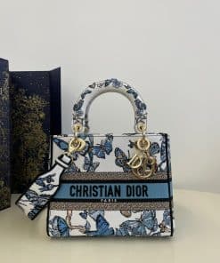 Túi xách Dior nữ siêu cấp –TXSC2100